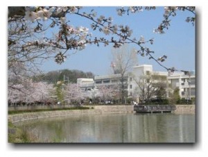 学校
