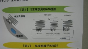 味覚4