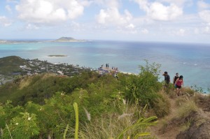 pillbox1