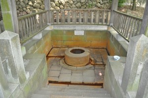 arimaonsen5