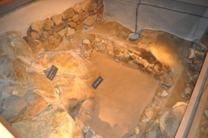 arimaonsen6