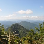 山頂からの眺め