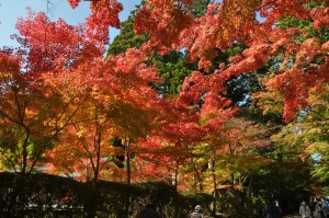 金剛峯寺