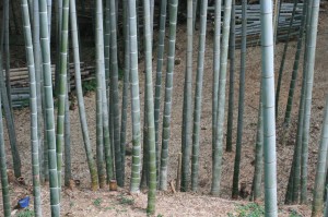 エジソン記念碑