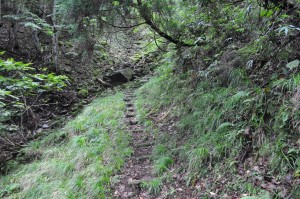 南探勝路