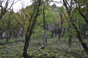 南探勝路