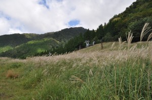 南探勝路