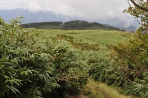 三の丸コース