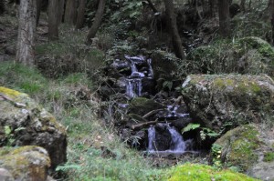 小塩山