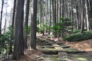 淳和天皇陵