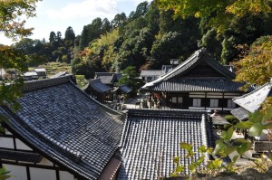 柳谷観音