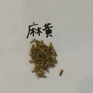 麻黄