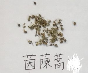 茵蔯蒿