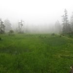 旭岳クロスカントリーコース