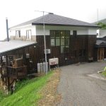 キタキツネとウミネコ