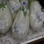 丸いズッキーニ