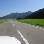 魚沼産コシヒカリ